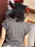 德玛纳【少女粉减龄短袖】夏款圆领连肩袖印花压褶显腰身T恤女 实拍图
