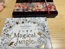 【超级爆款】马可（MARCO）雷诺阿油性彩色铅笔50色铁盒套装专业美院老师推荐绘画涂色画笔美术生日礼物绘画 实拍图