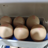 京鲜生【每日鲜蛋】无抗谷物鲜鸡蛋15枚/盒 1.5斤 源头直发 实拍图