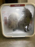聚宠宠物猫咪烘干箱自动狗狗吹风机烘干家用洗澡拉毛吹毛机71升 智能生活APP版（AI管家7年保修） 实拍图