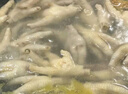 大用单冻鸡凤爪2斤（500g*2） 白羽鸡烤凤爪卤鸡爪烧烤酱卤食材 清真 实拍图