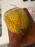 潜水艇防臭地漏芯地漏防臭防反味神器卫生间防臭芯下水道除臭防反味神器 地漏防臭芯丨防臭防虫【三只装】 实拍图