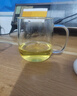 忆壶茶玻璃茶杯个人专用泡茶水分离带盖把手耐热无铅办公室绿茶水杯子 实拍图