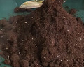 德沃多肥料55L植物营养土通用养花土种菜有机土壤泥炭土绿植盆栽种植土椰糠 实拍图