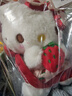 凯蒂猫六一儿童节三丽鸥KT猫娃娃毛绒玩具钥匙扣挂件生日礼物高级小众 实拍图
