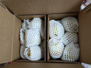 京鲜生 新疆库尔勒香梨 净重5斤 单果100g-120g 新鲜水果 源头直发 实拍图