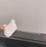相机机身贴片微景观小摆件写实鸭子小黄鸭白天鹅树脂摆件盆景装饰配件桌面饰品送无痕胶贴纸 仿真鸭子白天鹅1个 实拍图