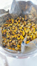 福东海 洋甘菊100克【新鲜晾晒】菊茶茶花草茶搭野菊花干花原料泡水喝 实拍图