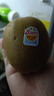 佳沛（zespri）新西兰  阳光金奇异果18粒超大果原箱单果重约173-204g 猕猴桃 实拍图