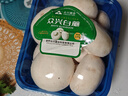 【绿色认证】鲜美白蘑菇230g 实拍图