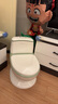 babycare马桶坐便器蹲便器儿童马桶仿真马桶坐便圈2-6岁宝宝便盆温特绿 实拍图