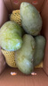 玉芒新鲜现摘热带芒果水果 2.5-3.5两大果5斤带箱 实拍图