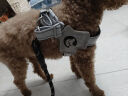 甜浪海狗绳牵引绳中小型犬遛狗胸背带项圈猫咪牵引绳宠物用品S码 实拍图