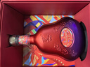 轩尼诗（Hennessy）XO干邑白兰地法国进口洋酒700ml2025年生肖限量版礼盒 实拍图