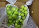 智宙 江苏阳光玫瑰葡萄国产晴王无籽香印提子 新鲜水果礼盒年货节送礼 精品果净重1.7斤单粒6-8g 实拍图