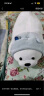 名创优品（MINISO）白熊趴姿公仔毛绒玩具抱枕靠垫卧室办公室午睡枕生日礼物 升级版 晒单实拍图