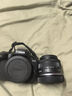 佳能（Canon）EOS R50 入门级微单反 半画幅数码相机 4k美颜小巧便携 EOS R50(RF-S 18-45套装）黑旅行版 官方标配（赠3期免息） 晒单实拍图