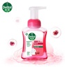 滴露（Dettol）泡沫洗手液樱桃芬芳250ml 儿童洗手液泡泡丰富5秒抑菌家庭用 实拍图