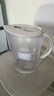 碧然德（BRITA） 家用滤水壶 净水壶滤芯 Maxtra 多效滤芯 3枚装 实拍图