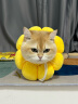 憨憨乐园 二合一逗猫激光笔猫玩具逗猫棒猫咪幼猫玩具逗猫神器LED强光灯笔红外线指示器 实拍图