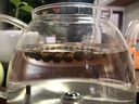 灵木阁沉水级天然越南芽庄白奇楠沉香手串文玩男女士108颗佛珠棋楠手链 【九分沉 】6MM 天然奇楠沉香 实拍图