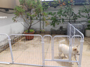 贝初众狗围栏室内宠物围栏狗笼子狗栅栏狗笼小中大型犬猫围栏狗笼折叠 120*60*60cm【适合中小型犬】 【6片】自由拼接组合围栏 加粗加密框架/无惧啃咬 实拍图