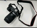佳能（Canon）EOS RP 全画幅微单数码相机 24-105标准镜头套装 （约2620万像素/轻巧便携） 晒单实拍图