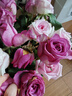 云南鲜花批发品质玫瑰百合水养鲜切花送女友生日礼物源头直发 紫玫瑰-10支（花苞小不定品种） 【任选2件—不收运費】 实拍图