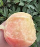 哆莫香无锡水蜜桃特产当季新鲜白凤水蜜桃多汁毛桃整箱水果礼盒中秋送礼 精选优果 4枚【无礼盒】 实拍图