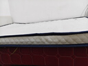 红豆床垫子1.5x2米乳胶记忆棉家用宿舍单人双人海绵垫被出租房床褥 Hello-蓝约6cm厚 1.5x2.0米 实拍图