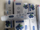 小苏打牙膏美齿亮白牙黄清新口气双重呵护牙齿男女通用家庭装 小苏打蓝莓亮白牙膏x3支 实拍图
