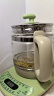 小熊（Bear）养生壶煮茶壶恒温水壶保温烧水一体电热水壶花茶壶 1.5升全自动玻璃养生烧水壶国家补贴母亲节礼物 YSH-B18T1【配滤网+蛋架】 1.5L 绿色 实拍图