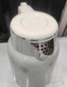 小熊（Bear）烧水壶 电热水壶 电水壶家用 智能双层防烫自动断电极速烧水 ZDH-H15L6 1.5L大容量 实拍图