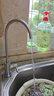 怡口净水（ECOWATER）净水器家用0阻垢剂0双酚A母婴厨下等效1200G纯水直饮净饮机陶氏RO膜反渗透ERO152-3 实拍图