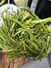 京喜自营新鲜蒜苔现采现发生鲜蔬菜京东超市同款即食蒜苔 新鲜蒜苔 3斤 实拍图