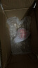 京喜加买菜新鲜黄洋葱水果蔬菜调料洋葱 【尝鲜】 500g 含箱 实拍图