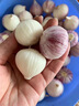 云南紫皮独头蒜2025新鲜干蒜独蒜头调味农家自种生鲜蔬菜 2斤 独头蒜 独头蒜大果【3-3.5cm】 实拍图