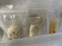 宝宝馋了红枣核桃馒头卷175g面包无添加糖儿童早餐速食送宝宝辅食食谱 实拍图
