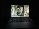 Apple/苹果【国家补贴】AI笔记本/2025款MacBook Air13英寸M4 (10+10核) 16G 256G天蓝色电脑Z1H70002X 实拍图