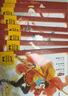 点读版 西游记幼儿美绘本套装全10册 儿童绘本3-6岁幼小衔接彩绘大字注音版有声读物中国四大名著睡前故事书籍连环画 支持老版小猴皮皮小鸡球球豚小蒙点读笔需另外购买  实拍图