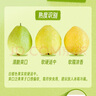 京鲜生 树熟软糯奶油芭乐 净重3斤装单果150g+ 番石榴 源头直发包邮 实拍图