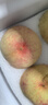 阳山水蜜桃 正宗无锡阳山水蜜桃白凤湖景桃 新鲜时令水果桃子整箱礼盒 一级果6-7两8个礼盒装净重5斤多 实拍图
