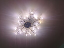 灯强 北欧风格灯具LED主卧室灯轻奢客厅大灯温馨浪漫花朵水晶吸顶灯 金色-24头-直径84cm三色变光 实拍图