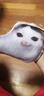 网红疯狂旋转猫集合蒜鸟钥匙扣Oi旋转猫挂件发声器钥匙扣搞笑猫 小猫钥匙扣挂件-旋转猫猫头 实拍图