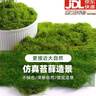 靓做仿真丝状苔藓绿色微景观布置假草坪鱼缸造景假山石头盆景造景铺面 丝状苔藓深绿色【50g】 晒单实拍图