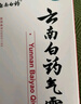 云南白药气雾剂每瓶装85g保险液每瓶装30g活血散瘀消肿止痛用于跌打损伤瘀血肿痛肌肉酸痛及风湿疼痛 实拍图