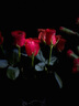 云南鲜花批发品质玫瑰百合水养鲜切花送女友生日礼物源头直发 红玫瑰-10支（不定品种） 【任选2件—不收运費】 实拍图