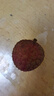 思卓（SIZHUO）黑叶荔枝【JD/顺丰闪送】现摘老树新鲜荔枝白罂糖味桂当季水果 净重2300g【老树大果】 实拍图