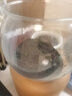 高清鱼缸 生态缸桌面溪流缸迷你金鱼缸小型水族箱养鱼龟缸PET 特大号鱼缸【超清8K高透/摔不碎/久用不糊】 实拍图