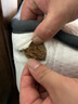 家特林乡村美式实木床1.8米现代简约黑胡桃色主卧复古轻奢软包婚双人床 床+2床头柜+20公分弹簧棕垫 1.8*2米框架床 实拍图